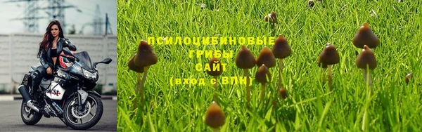 jwh Абаза