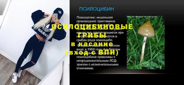 jwh Абаза