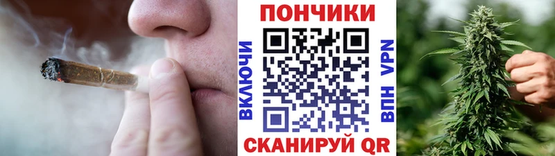 Бошки марихуана конопля  Сорск 